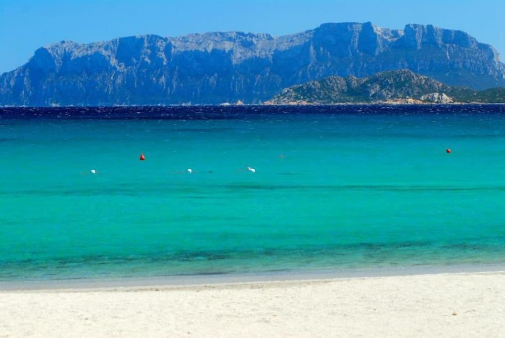 Апартаменты Sardegna Casa A 250 Metri Dal Mare Con Piscina Ольбия Экстерьер фото