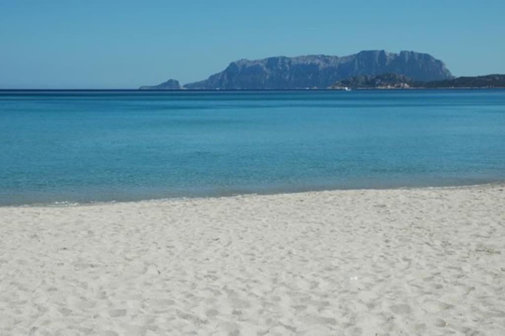 Апартаменты Sardegna Casa A 250 Metri Dal Mare Con Piscina Ольбия Экстерьер фото